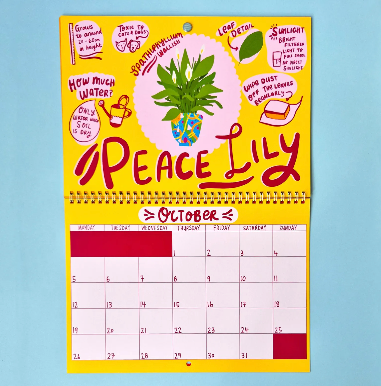 2026 House plants Calendar | 2026 Wall Calendar | Cat Calendar | 2026 Wall Planner by Able and Game (Copy) (Copy) (Copy)