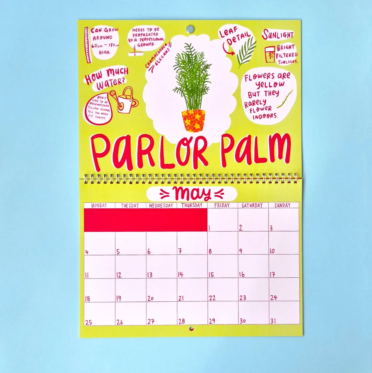2026 House plants Calendar | 2026 Wall Calendar | Cat Calendar | 2026 Wall Planner by Able and Game (Copy) (Copy) (Copy)