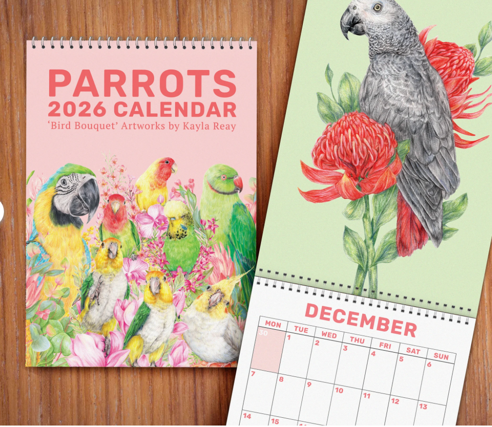 2026 Parrots Calendar by Kayla Reay