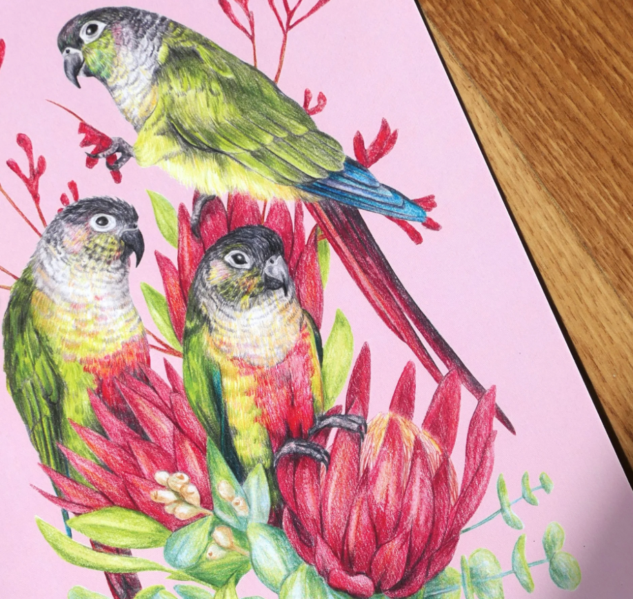2026 Parrots Calendar by Kayla Reay