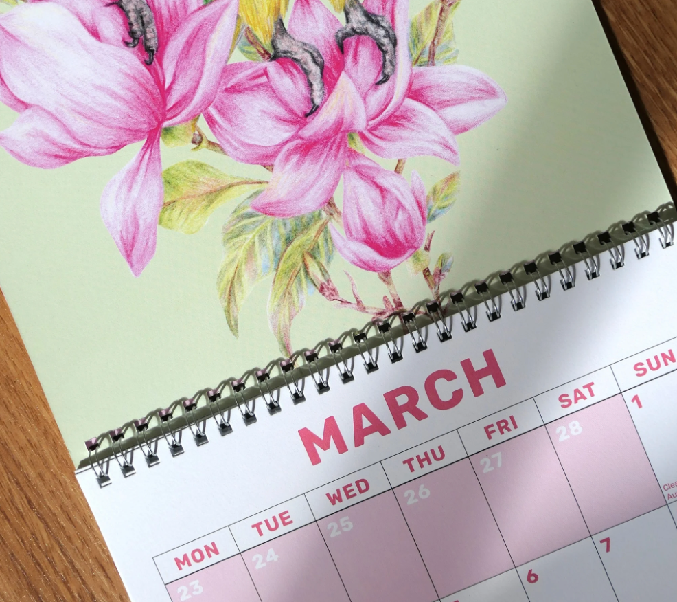 2026 Parrots Calendar by Kayla Reay