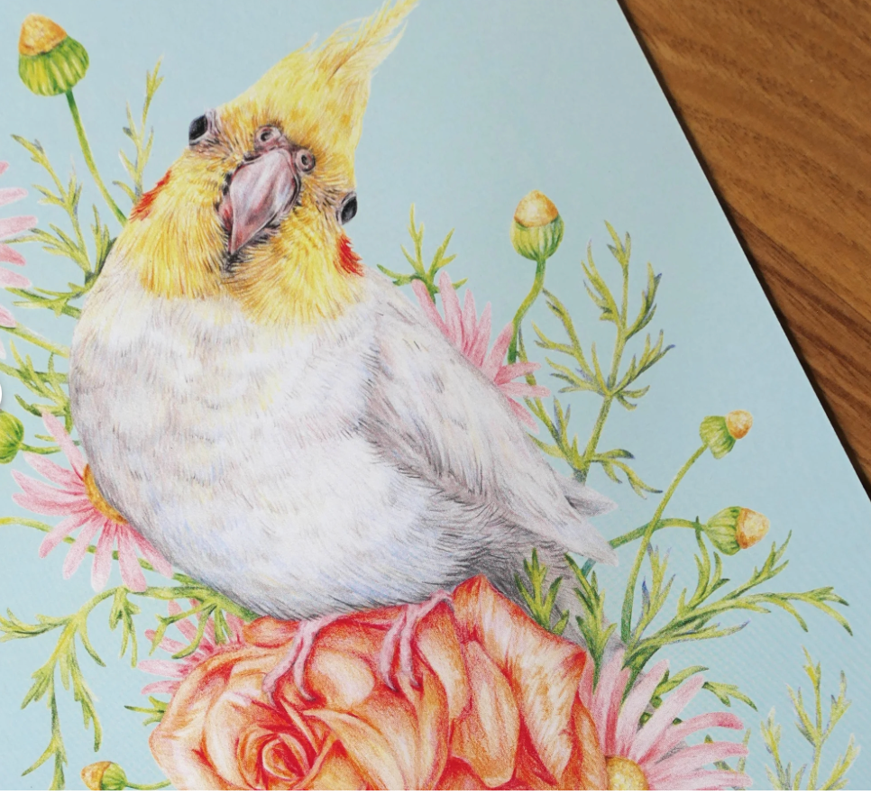 2026 Parrots Calendar by Kayla Reay