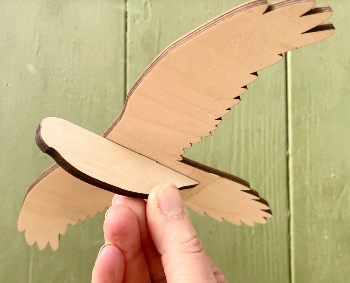 Bridget Farmer - Paint-a-Parrot Craft Kit - Create Your Own Bird Mobile