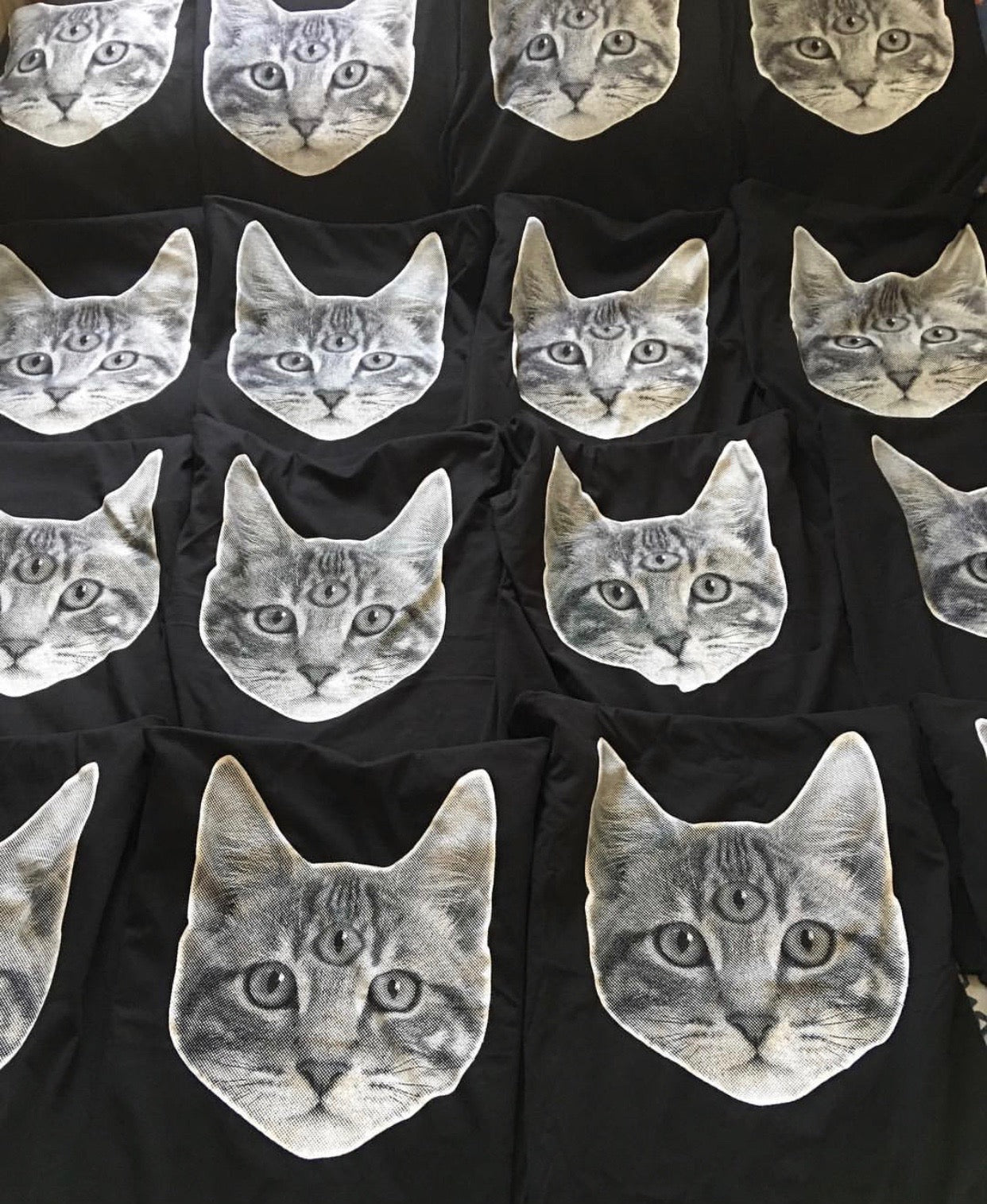 Meow© T-shirt for Him by Anorak®