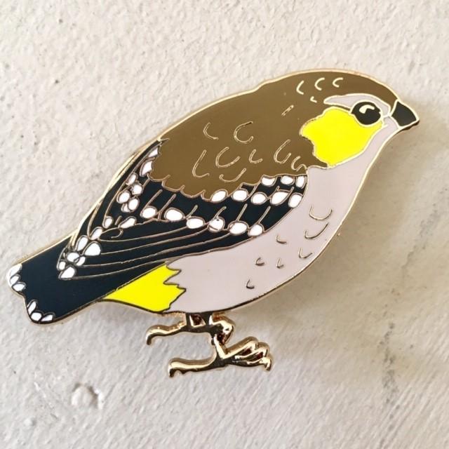 Bridget Farmer - Lapel Pin - Forty Spotted Pardalote