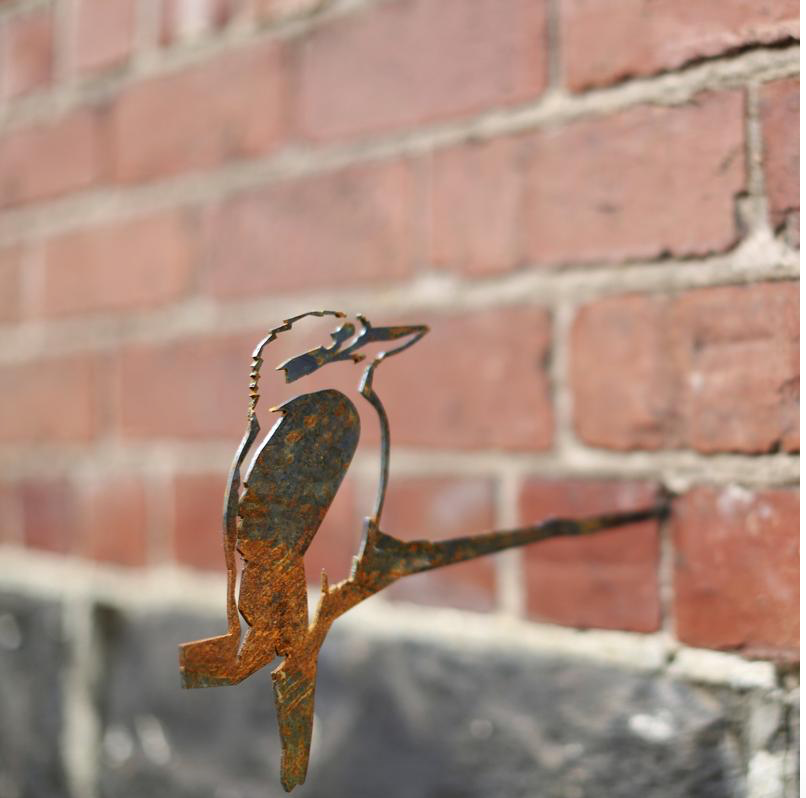 Metalbird - Kookaburra