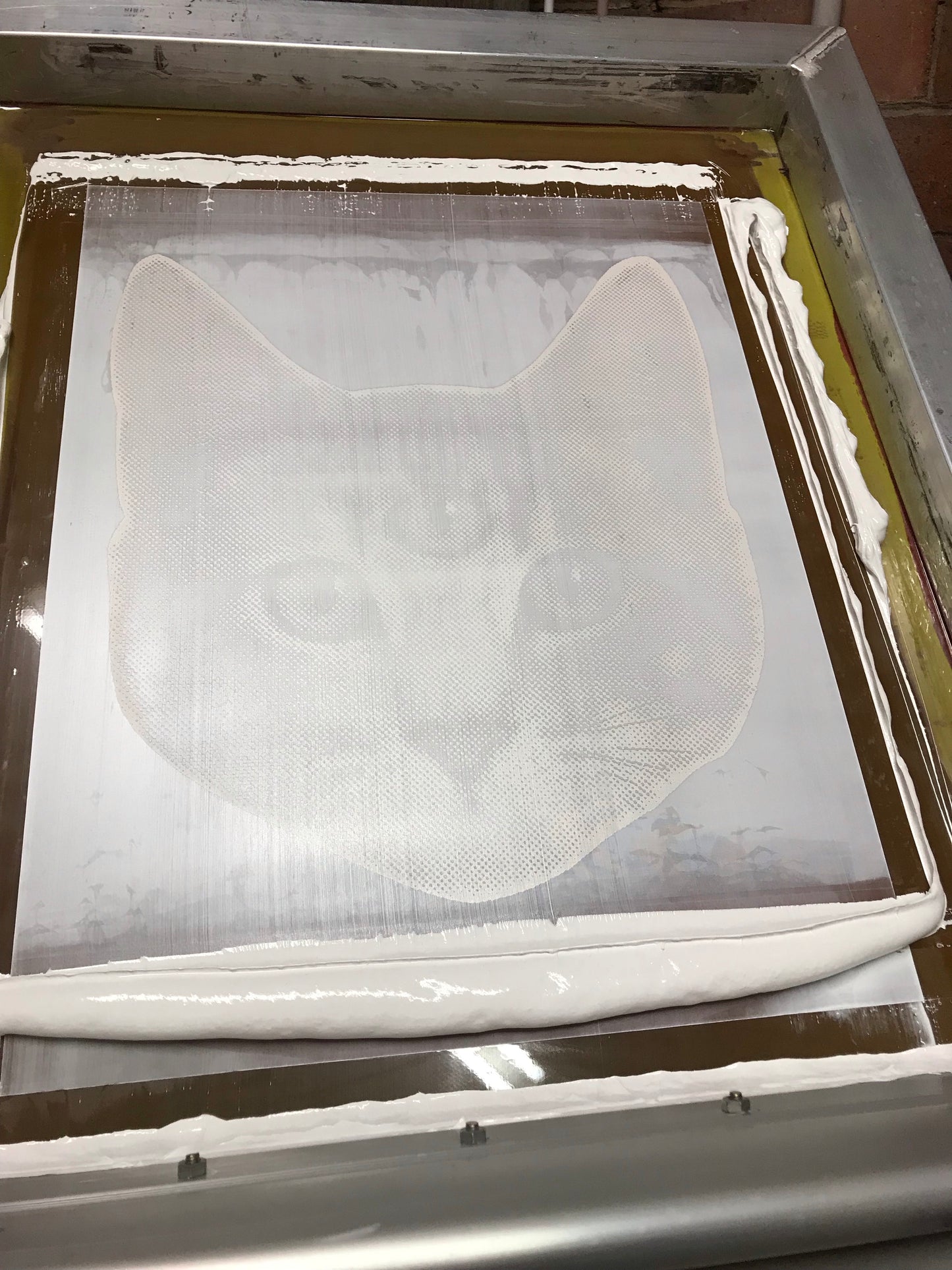 Meow© T-shirt for Him by Anorak®