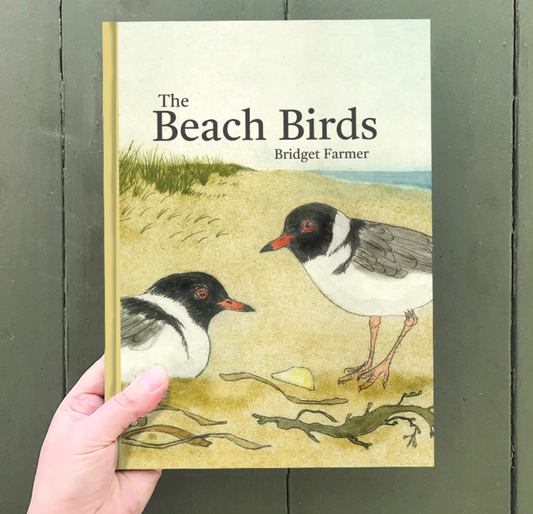 Bridget Farmer - The Beach Birds - Children's Lift The Flap Book