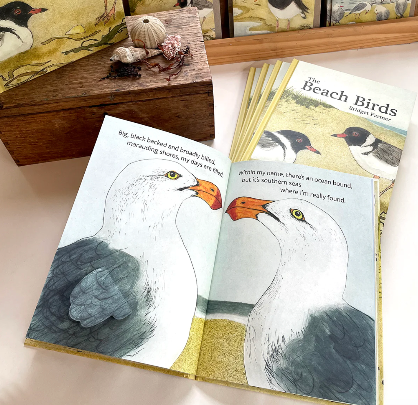 Bridget Farmer - The Beach Birds - Children's Lift The Flap Book