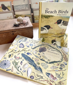 Bridget Farmer - The Beach Birds - Children's Lift The Flap Book