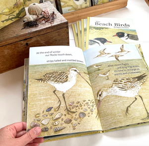 Bridget Farmer - The Beach Birds - Children's Lift The Flap Book