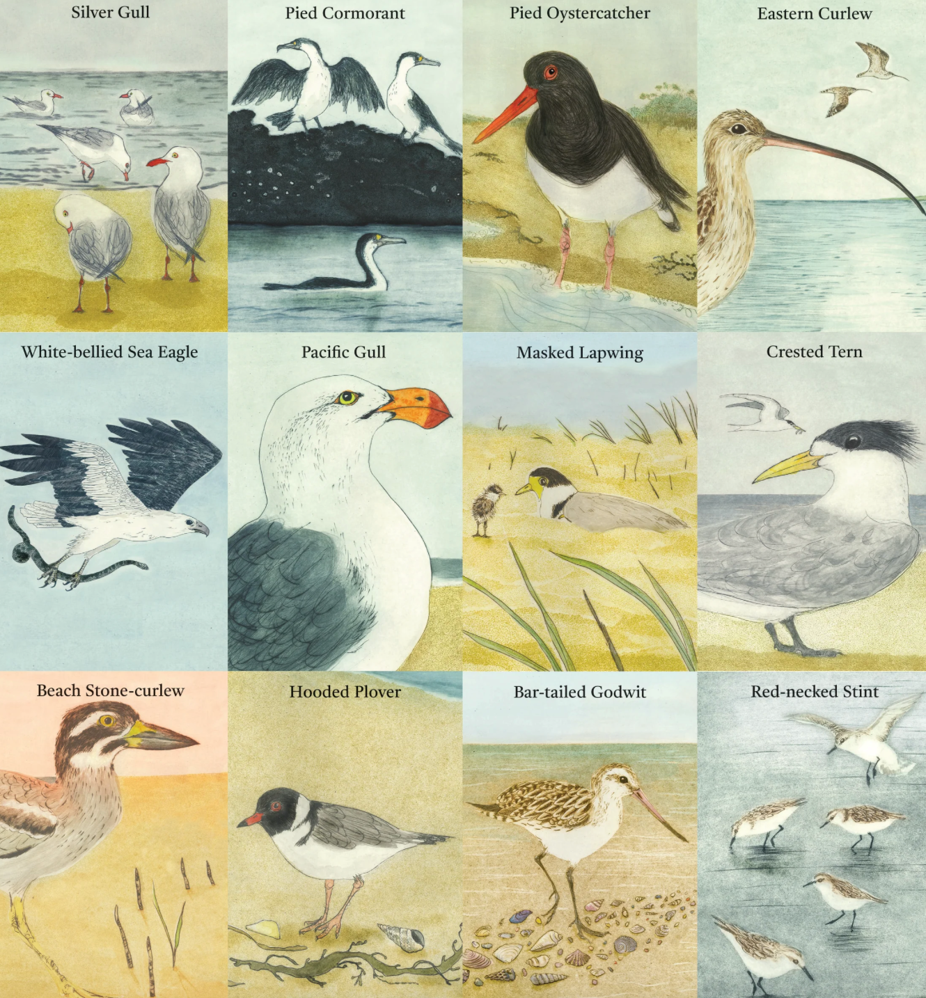 Bridget Farmer -  The Beach Birds - Card Game