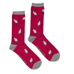 Red Parka Socks: Ibis