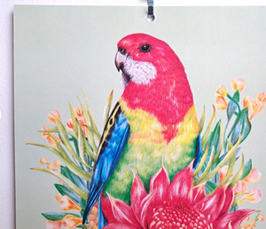 Kayla Reay 2024 Calendar - Australian Bird Bouquets