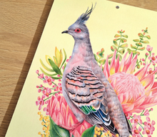 Kayla Reay 2024 Calendar - Australian Bird Bouquets
