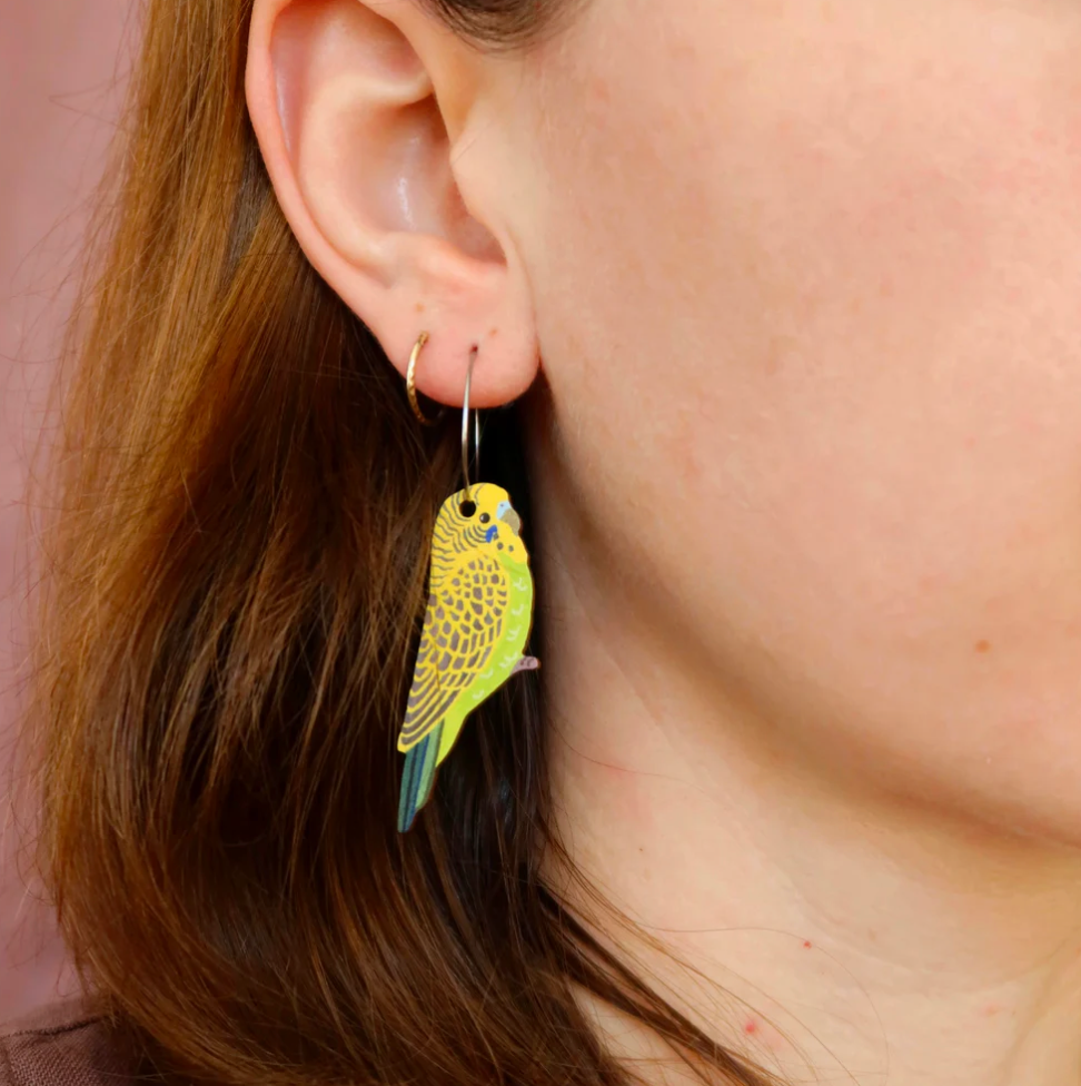 PIxie Nut & Co - Budgie Australian Bird Earrings