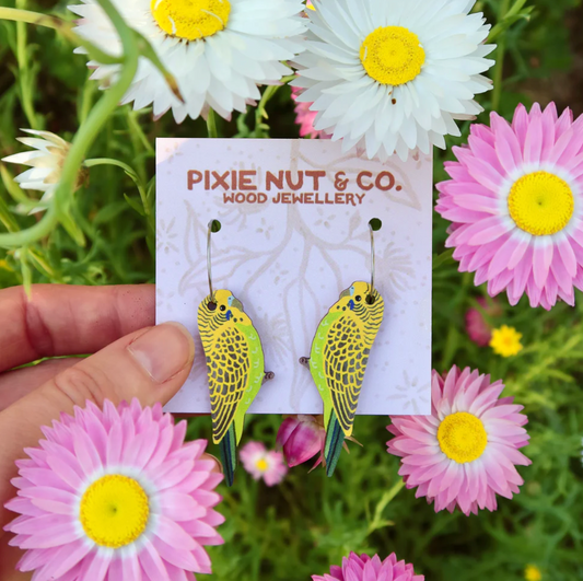 PIxie Nut & Co - Budgie Australian Bird Earrings