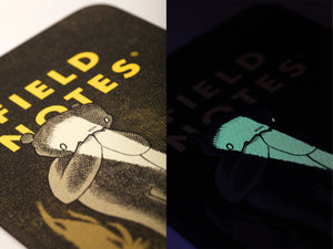 Field Notes - Haxley ILLUSTRATED STORY BOOK & A SKETCH BOOK