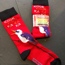 Blue Mountain Socks: Kookaburras