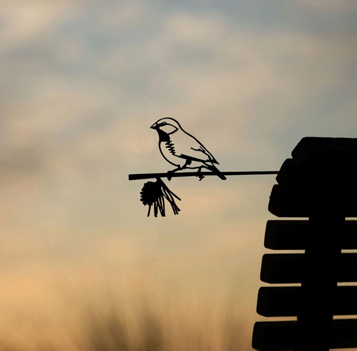 Metalbird - BLACK-THROATED FINCH