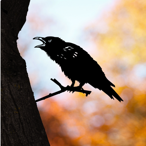 Metalbird - Raven