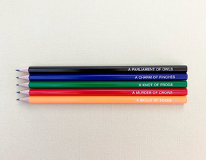 Emma Makes - Collective Nouns set TWO pencil pack