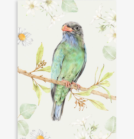 Penny the Dollarbird A4 Art print by Carmen Hui