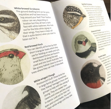 Bridget Farmer - The Bush Birds - Children's Lift The Flap Book