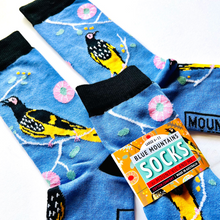 Blue Mountain Socks: Regent Honeyeater