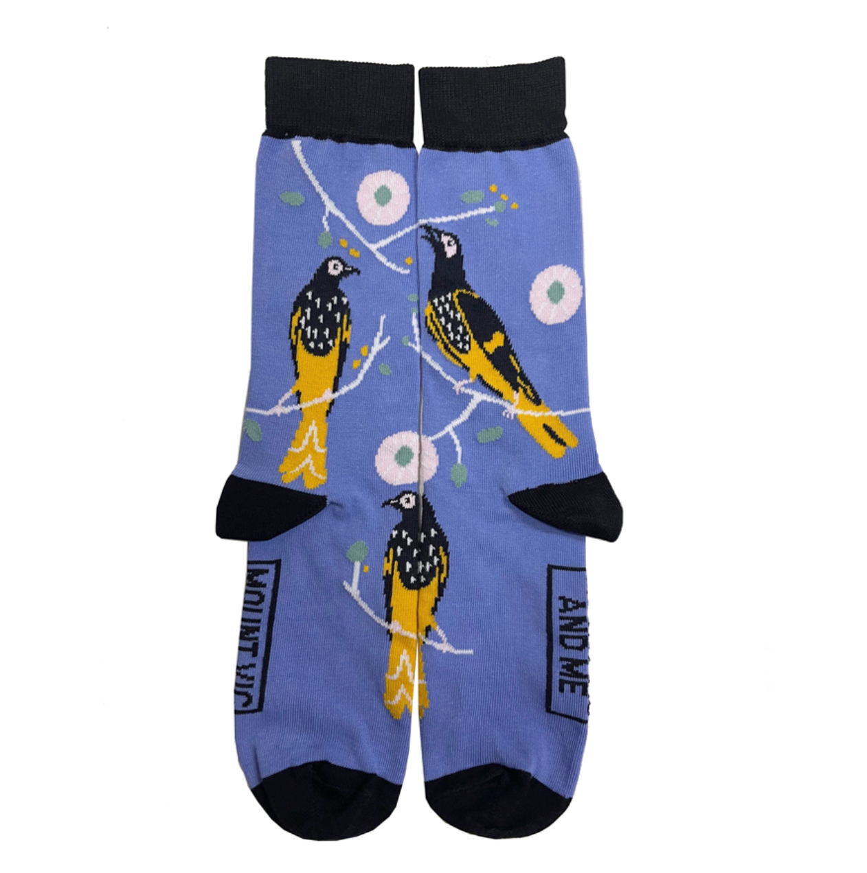 Blue Mountain Socks: Regent Honeyeater