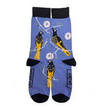 Blue Mountain Socks: Regent Honeyeater