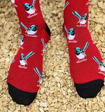 Red Parka Socks: Fairy Wren