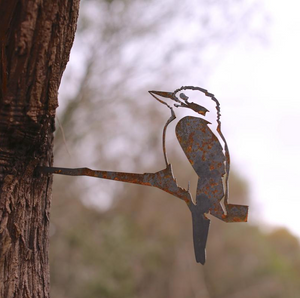 Metalbird - Kookaburra