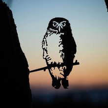 Metalbird - Southern Boobook Owl