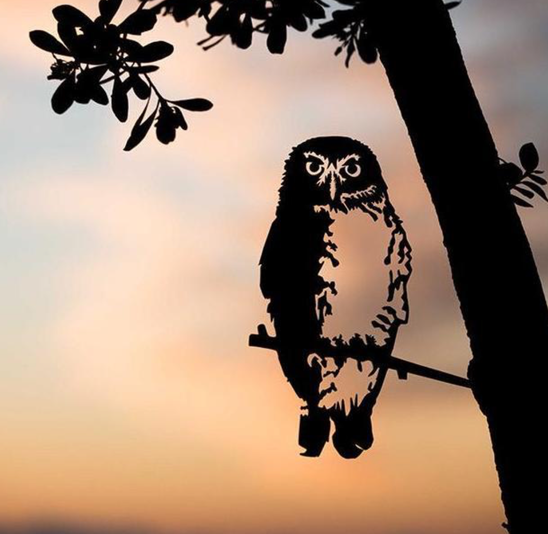 Metalbird - Southern Boobook Owl