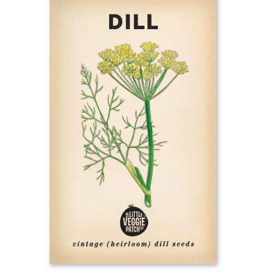 Little Veggie Patch Co - DILL 