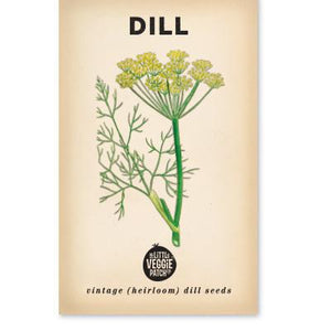 Little Veggie Patch Co - DILL "COMMON" HEIRLOOM SEEDS