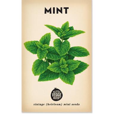 Little Veggie Patch Co - MINT 'PEPPERMINT' HEIRLOOM SEEDS