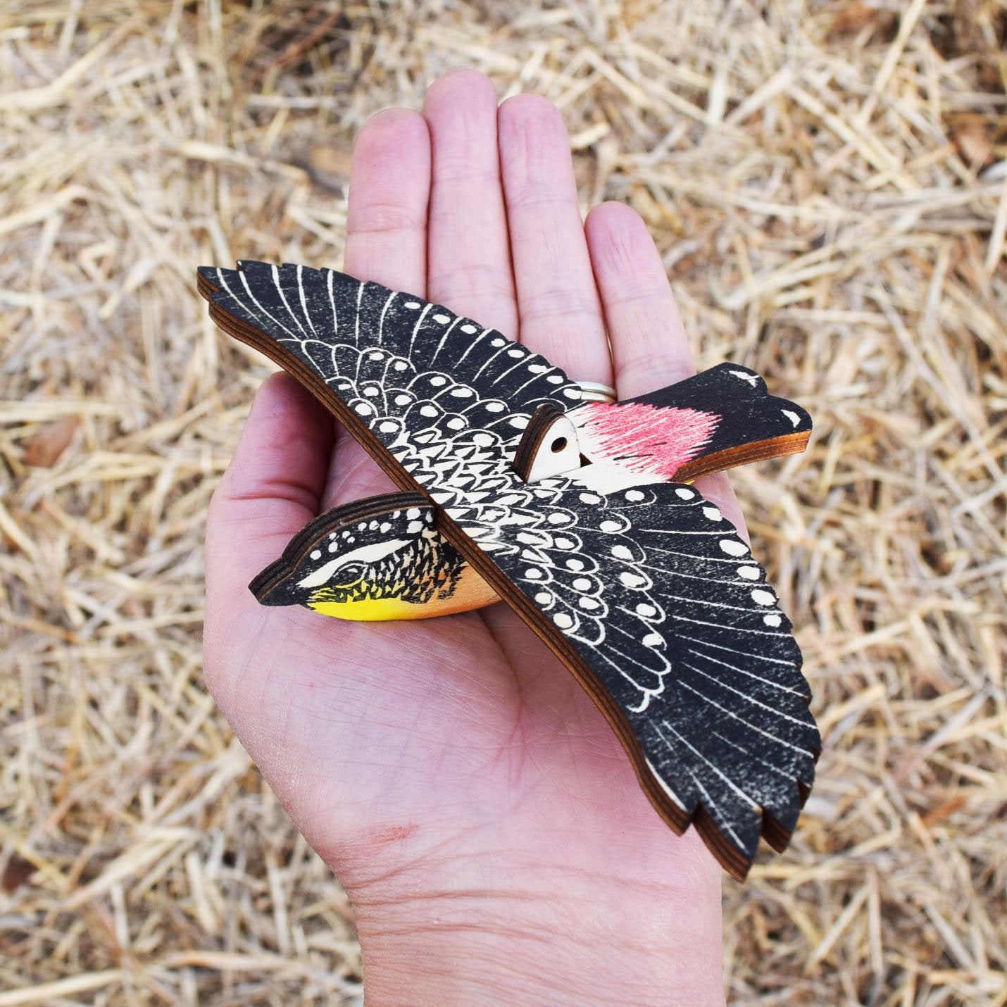 Bridget Farmer - Mobile - Spotted pardalote