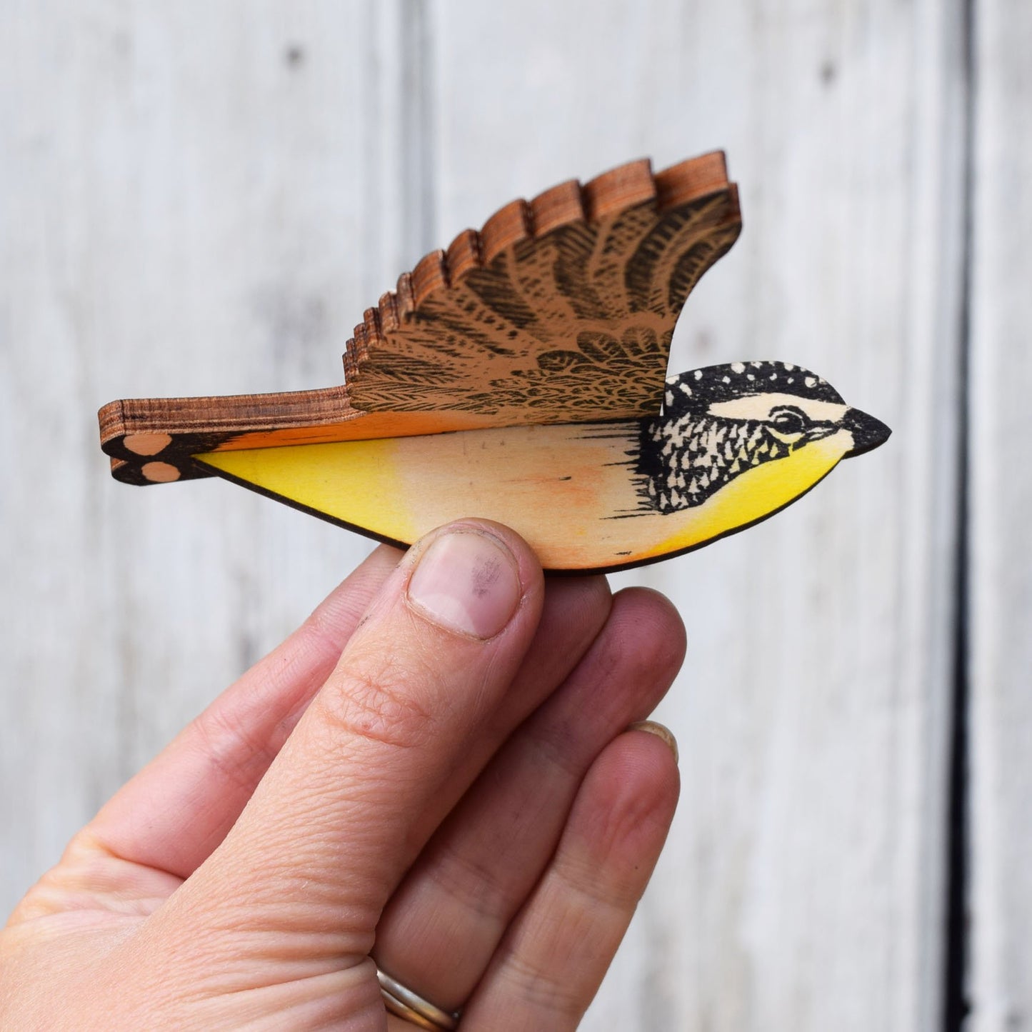 Bridget Farmer - Mobile - Spotted pardalote