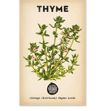 Little Veggie Patch Co - THYME 'SUMMER' HEIRLOOM SEEDS